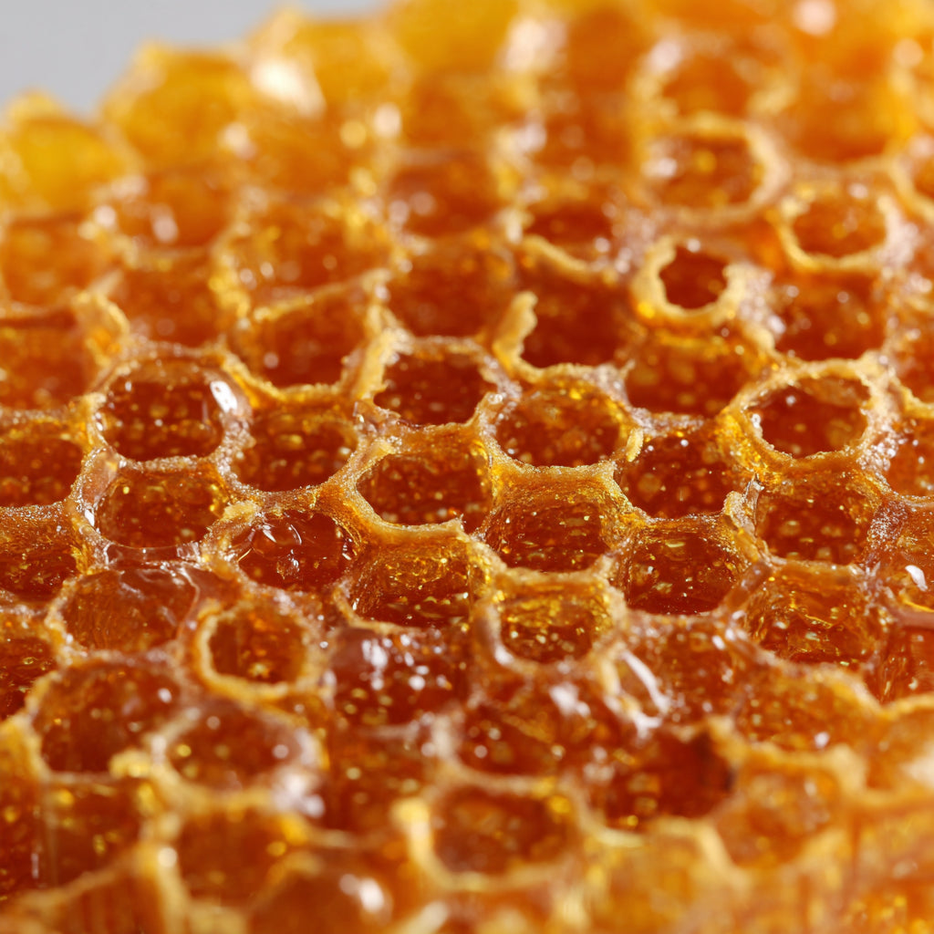 Beeswax CO₂ Extract (Cera Alba)