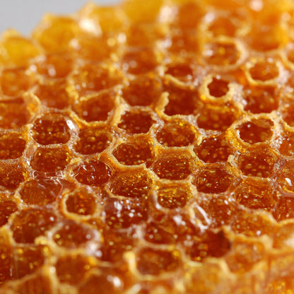 Beeswax CO₂ Extract (Cera Alba)