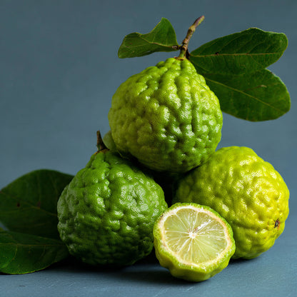 Botanica Gaia Bio Bergamot FCF Essential Oil | Bergapten-Free / FCF | Citrus Aurantium Bergamia | For Aromatherapy, Skin Care and Perfume