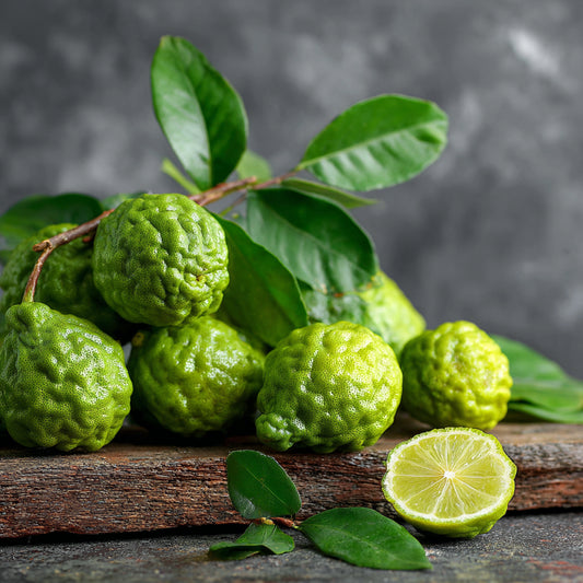 Botanica Gaia Bio Bergamot FCF Essential Oil | Bergapten-Free / FCF | Citrus Aurantium Bergamia | For Aromatherapy, Skin Care and Perfume