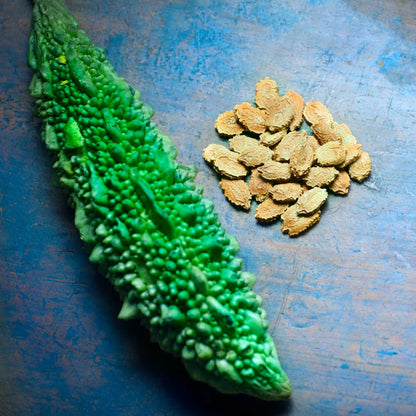 Bio Bitter Gourd Seed Carrier Oil (Momordica charantia)