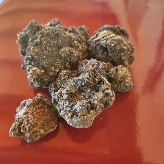 Botanica Gaia Wild Crafted Black Mastic Resin | Pistacia Aethiopica | For  Perfume, Incense and Skincare