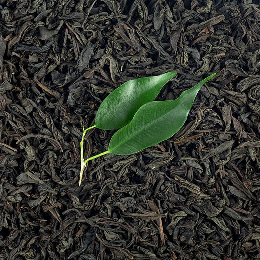 Botanica Gaia Bio Black Tea Absolute Oil | Camellia Sinensis | For Perfume, Aromatherapy and Incense