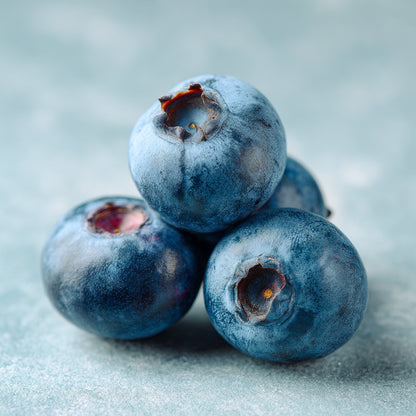 Botanica Gaia Bio Blueberry Carrier Oil | Vaccinium Corymbosum | For Skincare and for Frizz Control