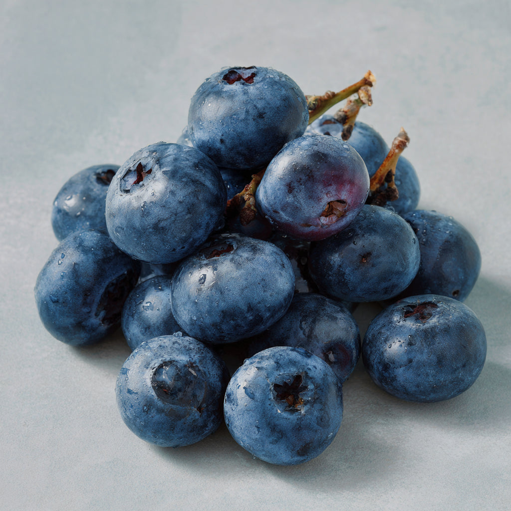 Botanica Gaia Bio Blueberry Carrier Oil | Vaccinium Corymbosum | For Skincare and for Frizz Control