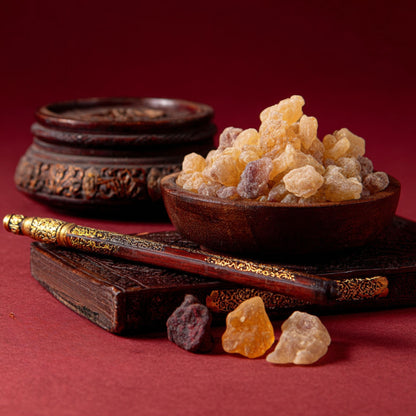 Botanica Gaia Wild Crafted Frankincense Occulta Resin | Boswellia Occulta | For  Perfume, Incense and Skincare