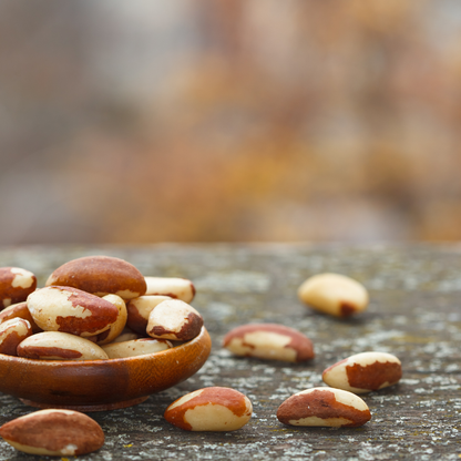 Virgin Organic - Brazil Nut (Bertholletia Excelsa) | For natural Skincare and Haircare