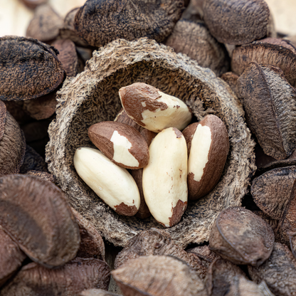 Virgin Organic - Brazil Nut (Bertholletia Excelsa) | For natural Skincare and Haircare