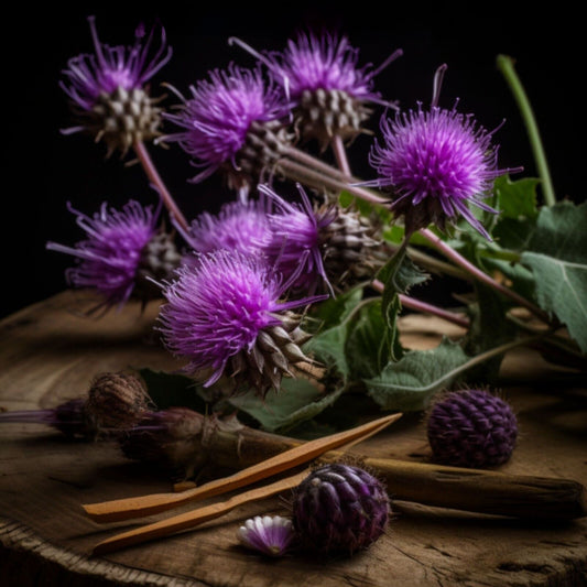 Bio Rare Burdock Root CO2 Extract – product image 2
