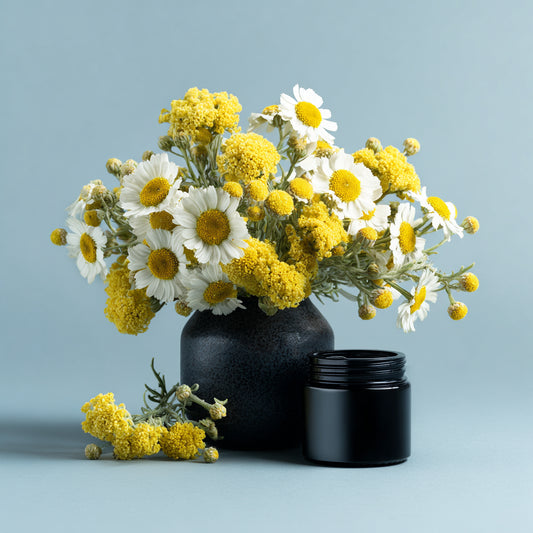 Blue Chamomile &  Helichrysum - Whipped Tallow Cream with Kakadu Plum Seed Oil & Chamomile and Helichrysum