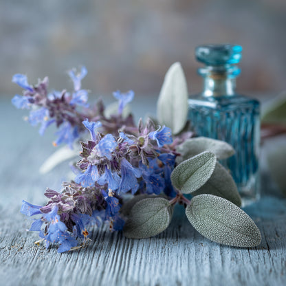 Botanica Gaia Bio Clary Sage Essential Oil | Salvia Sclarea | For Aromatherapy, Skin Care and Perfume