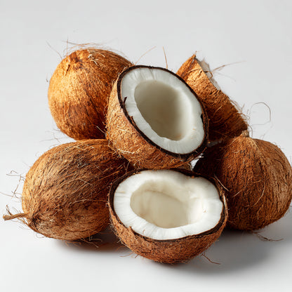 Botanica Gaia Bio Coconut Toasted CO₂ Extract | Supercritical CO2 Extraction | Cocos Nucifera | For Perfume, Skincare and Aromatherapy