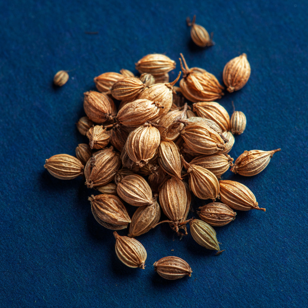 Botanica Gaia Bio Coriander Seed CO₂ Absolute | Supercritical CO2 Extraction | Coriandrum Sativum | Premium Quality | For Aromatherapy, Skincare and Perfume