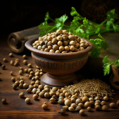 Botanica Gaia 100% Organic and Pure Coriander Seeds CO2 Essential Oil Coriandrum Sativum For Aromatherapy