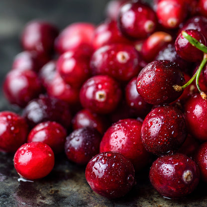 Botanica Gaia Bio Cranberry Carrier Oil | Vaccinium Macrocarpon | For Skincare and Haircare