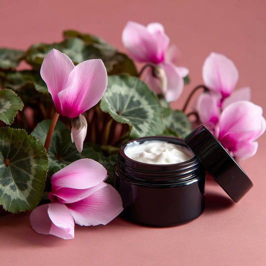 Cyclamen - Whipped Tallow Cream with Apple Seed Oil & Cyclamen