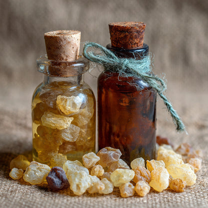 Botanica Gaia Wilcrafted Frankincense Dalzielii Macerate Oil | Boswellia Dalzielii | Premium Quality |