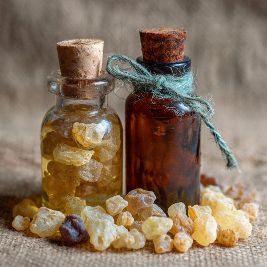 Wilcrafted Frankincense Dalzielii Macerated in Jojoba Oil – product image 2