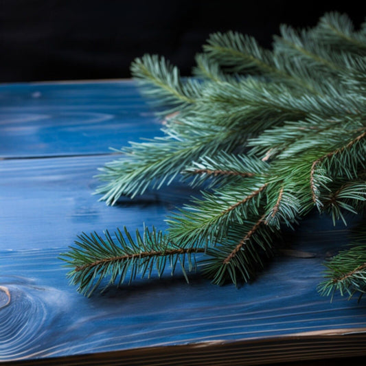 Bio Douglas Fir Essential Oil – product image 2