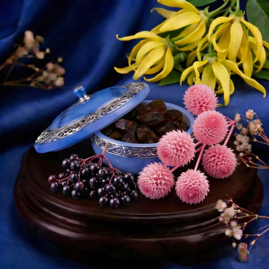 Bio Elderberry Seed Oil Ultrasonically Infused with Labdanum Resin and Ylang Ylang