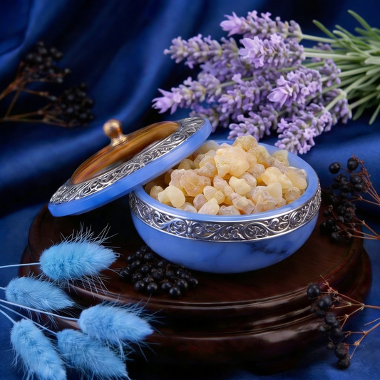 Bio Elderberry Seed Oil Ultrasonically Infused with Papyrifera Frankincense