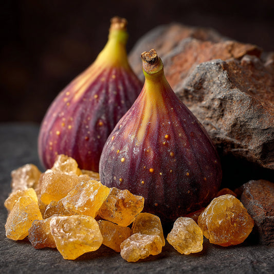 Botanica Gaia Wilcrafted Frankincense Serrata Macerated in Ficus Carica Seed Oil | Boswellia Serrata | Premium Quality |
