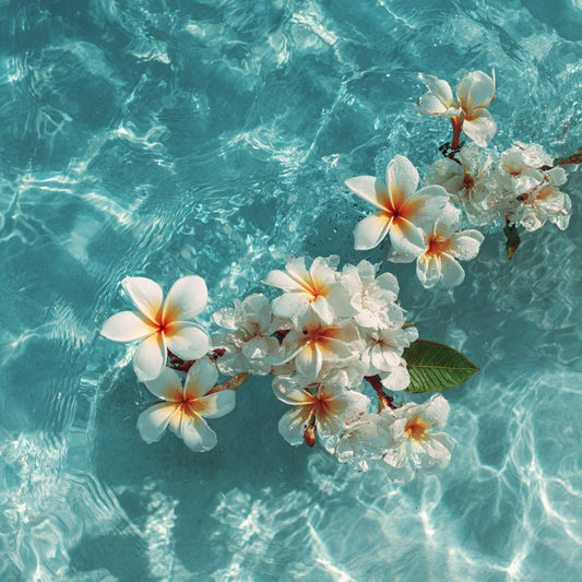 Frangipani Wax from Plumeria Alba – product image 2