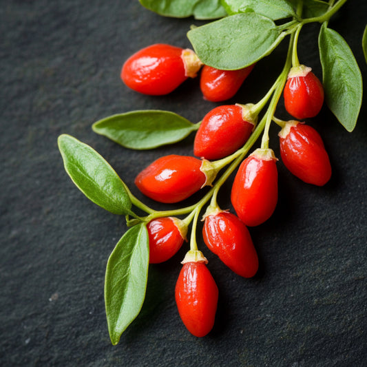 Bio Goji Berry Seed Carrier Oil – product image 2