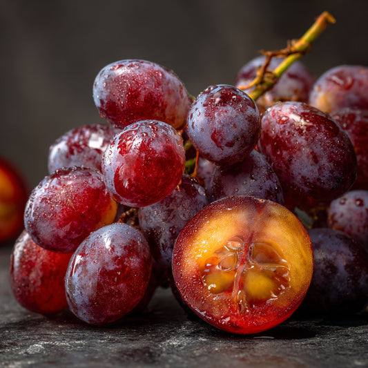 Botanica Gaia Bio Grape Seed CO₂ Oil | Supercritical CO2 Extraction | Vitis vinifera L. | Premium Quality | For Aromatherapy, Skincare and Perfume