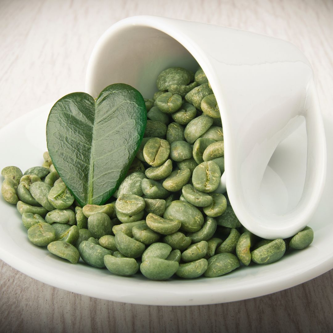 Botanica Gaia Bio Green Coffee Carrier Oil | Coffea arabica | For Skincare and Haircare.