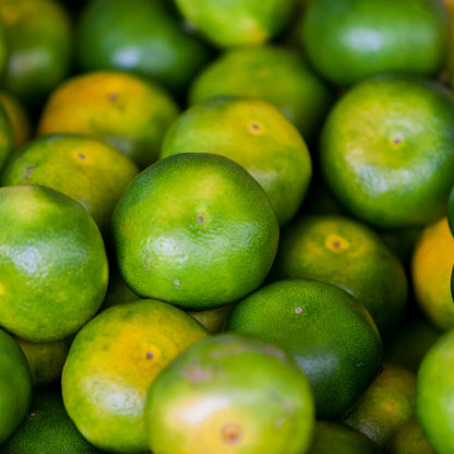 Organic Green Mandarine Essential Oil | Citrus Reticula var. Blanco | For Aromatherapy and Perfume