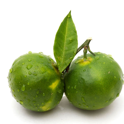 Organic Green Mandarine Essential Oil | Citrus Reticula var. Blanco | For Aromatherapy and Perfume