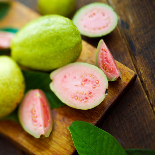 Botanica Gaia Bio Guava Seed Carrier Oil – product image 2