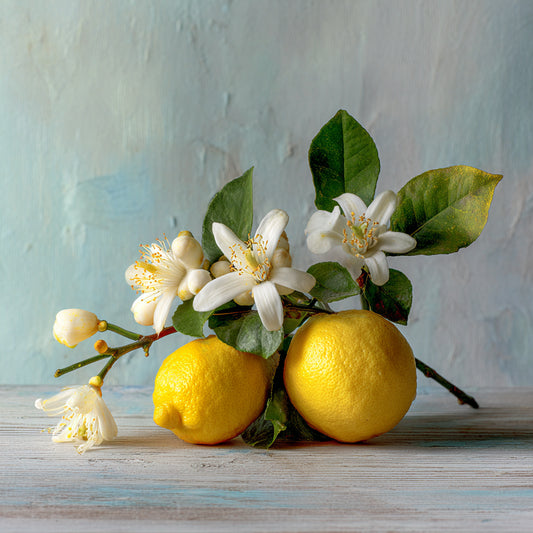Botanica Gaia Bio Lemon Blossom Essential Oil | Citrus x Limon | For Aromatherapy, Skin Care and Perfume