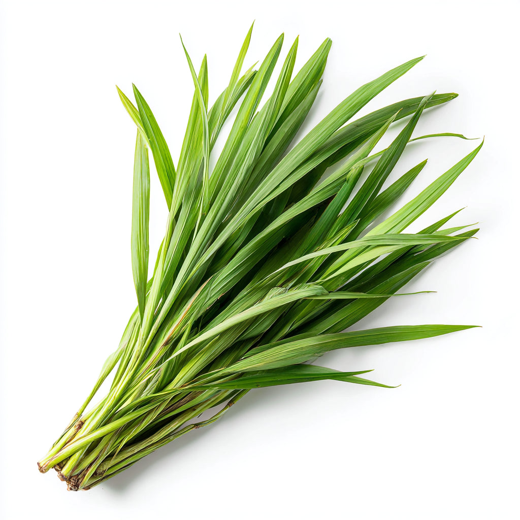 Lemongrass Leaf Wax CO₂ Extract (Cymbopogon citratus)