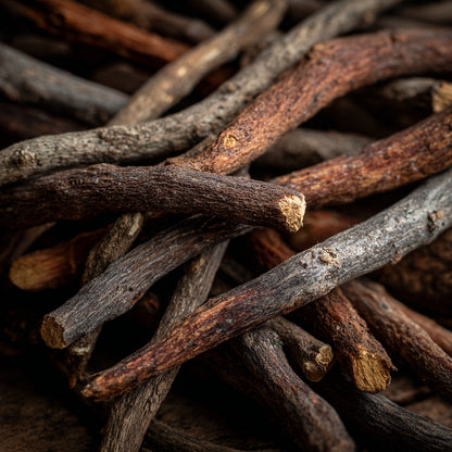 Botanica Gaia Bio Licorice Root CO₂ Absolute | Supercritical CO2 Extraction | Glycyrrhiza Glabra | Premium Quality | For Aromatherapy, Skincare and Perfume