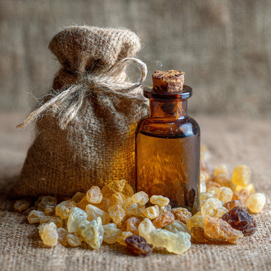 Botanica Gaia Wilcrafted Frankincense Dalzielii Macerate Oil | Boswellia Dalzielii | Premium Quality |