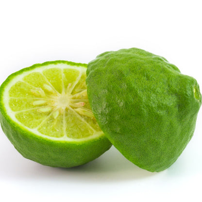Botanica Gaia Bio Kaffir Lime Essential Oil | Citrus Hystrix | For Aromatherapy, Skincare and Perfume