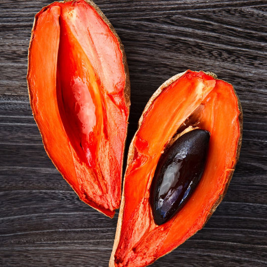 Botanica Gaia 100% Bio Mamey Seed Oil | Pouteria Sapota | Carrier Oil for Skincare and Haircare