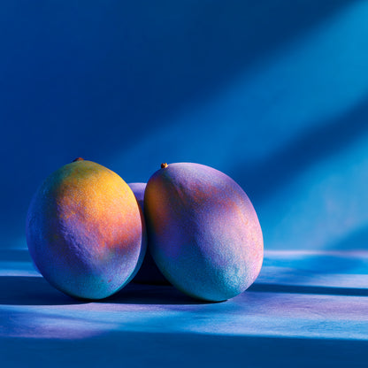 Botanica Gaia Bio Mango Seed Carrier Oil | Mangifera Indica | For Skincare and Haircare Comedogenic Index: 2.