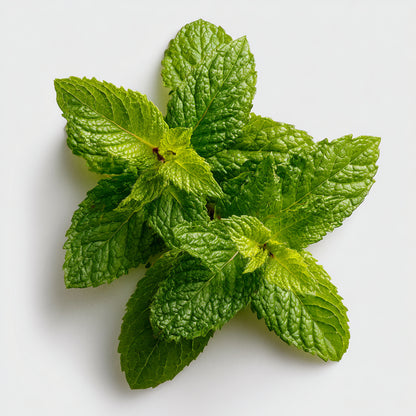 Pure Mint Wax CO₂ Extract with a fresh, creamy, cooling aroma. Perfect for perfumes, balms, skincare, incense, and aromatherapy formulations.