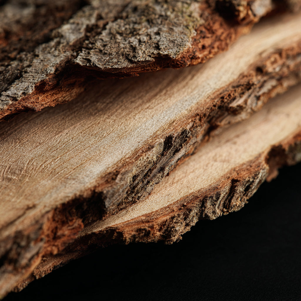 Pure Oak Bark CO₂ Wax | Quercus Robur | With deep woody, smoky, resinous notes. Ideal for natural perfumery, balms, incense, and grounding botanical formulations.