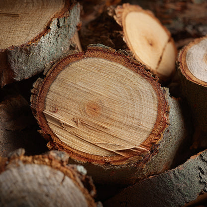 Pure Oak Bark CO₂ Wax | Quercus Robur | With deep woody, smoky, resinous notes. Ideal for natural perfumery, balms, incense, and grounding botanical formulations.