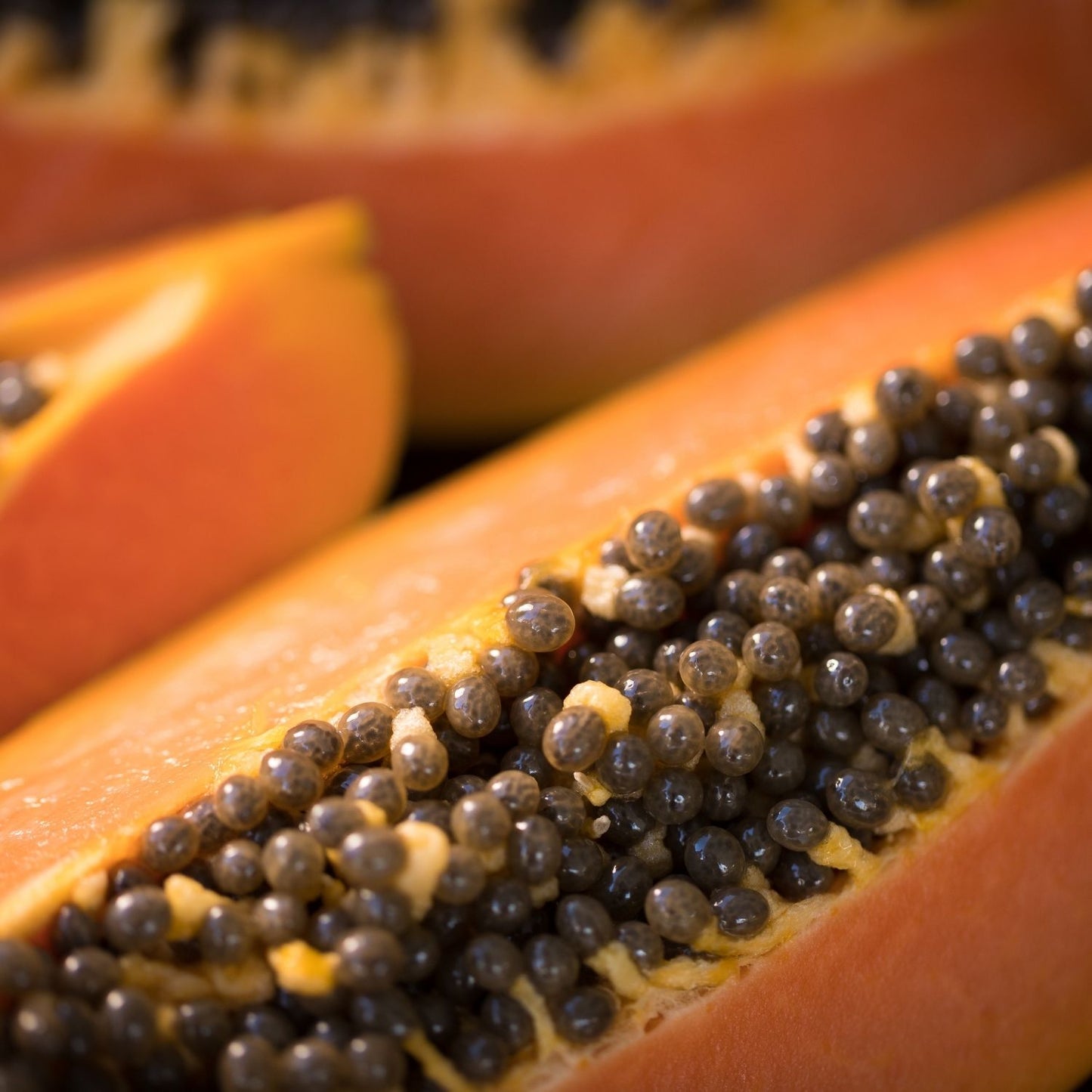 Botanica Gaia Bio Papaya Seed Carrier Oil | Carica papaya | For Skincare and Haircare