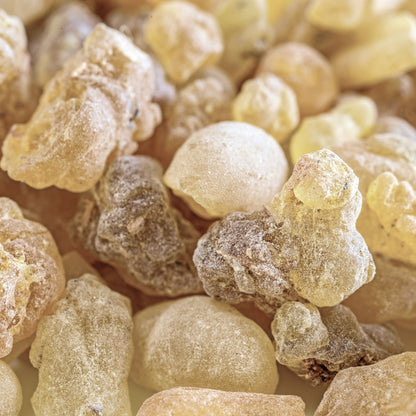 Botanica Gaia Wild Crafted Frankincense Papyrifera Resin | Boswellia Papyrifera | For  Perfume, Incense and Skincare