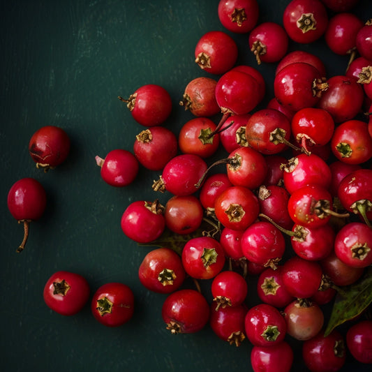 Bio Pink Pepper Essential Oil – product image 2