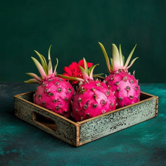 Bio Dragonfruit Carrier Oil (Hylocereus undatus) – product image 2