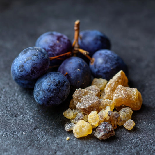 Botanica Gaia Wilcrafted Frankincense Serrata Macerated in Plum Seed Oil | Boswellia Serrata and Prunus Domestica  | Premium Quality|