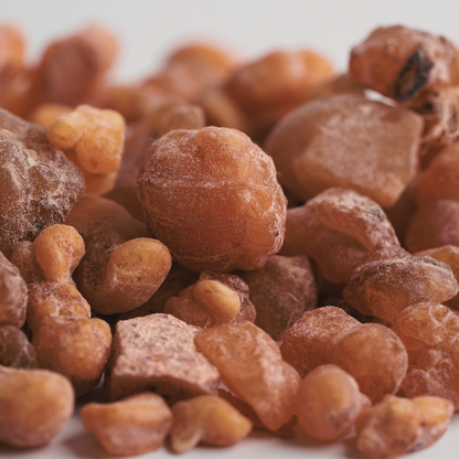 Botanica Gaia Wild Red Frankincense Sacra Essential Oil | Premium Quality | Boswellia Sacra for Aromatherapy, Skin care and Perfume