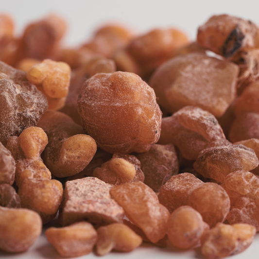 Red Frankincense Sacra Essential Oil (Boswellia Sacra) – product image 2